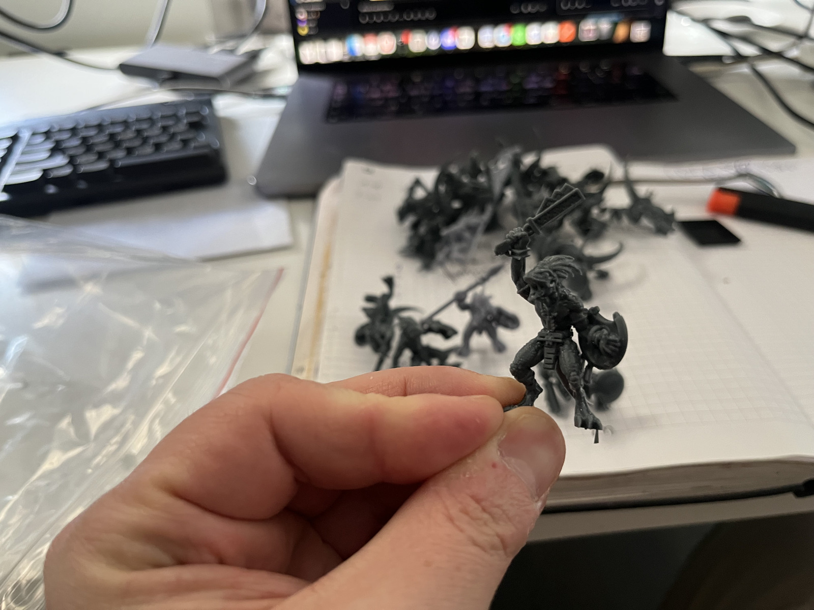 20 skinks