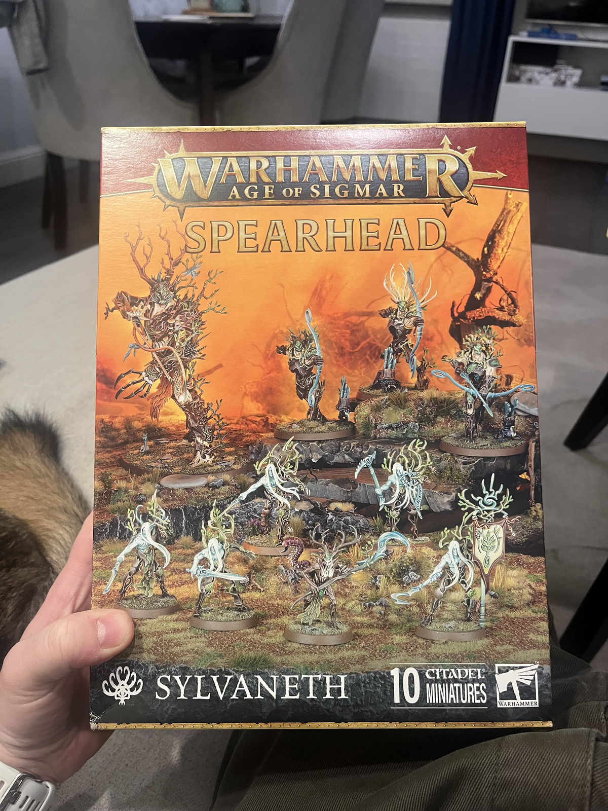 Freshly bought Spearhead, ready for a lot of gluing
