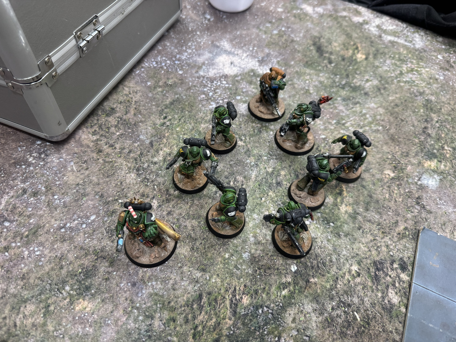 Nicely painted Salamanders