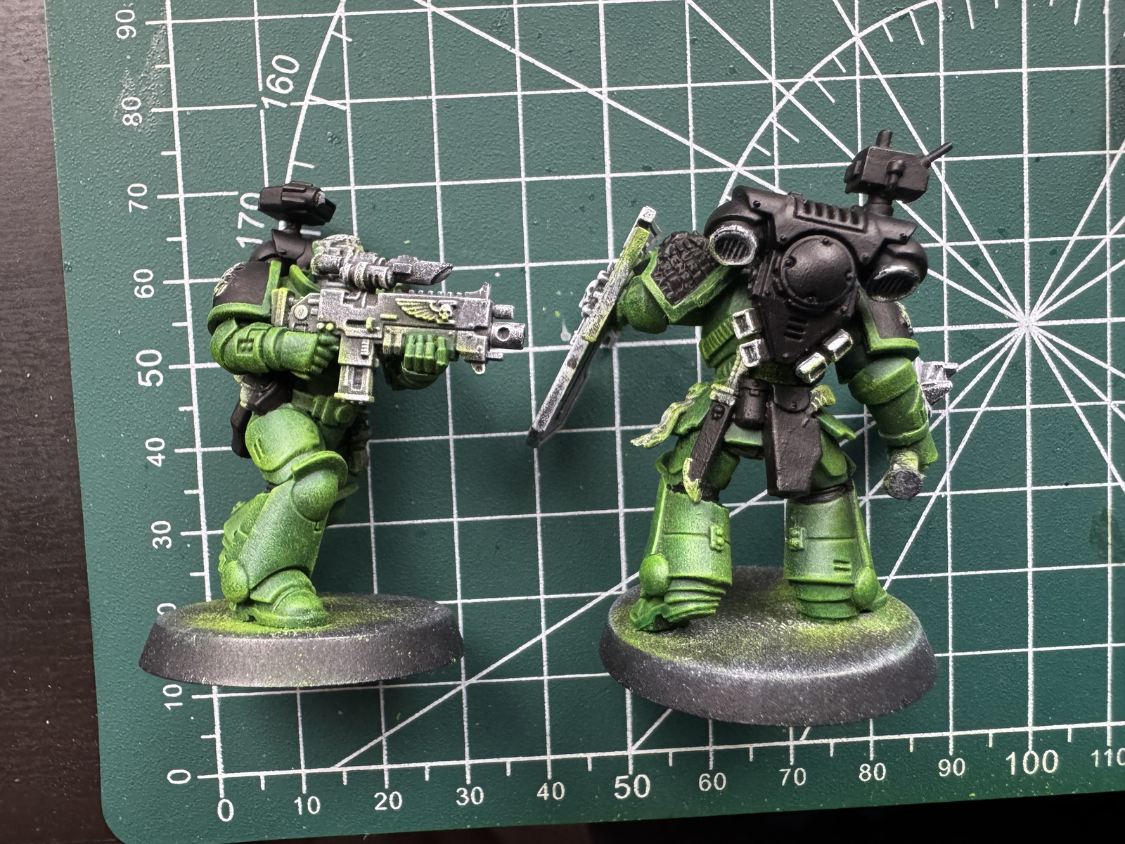 Salamanders after adding black