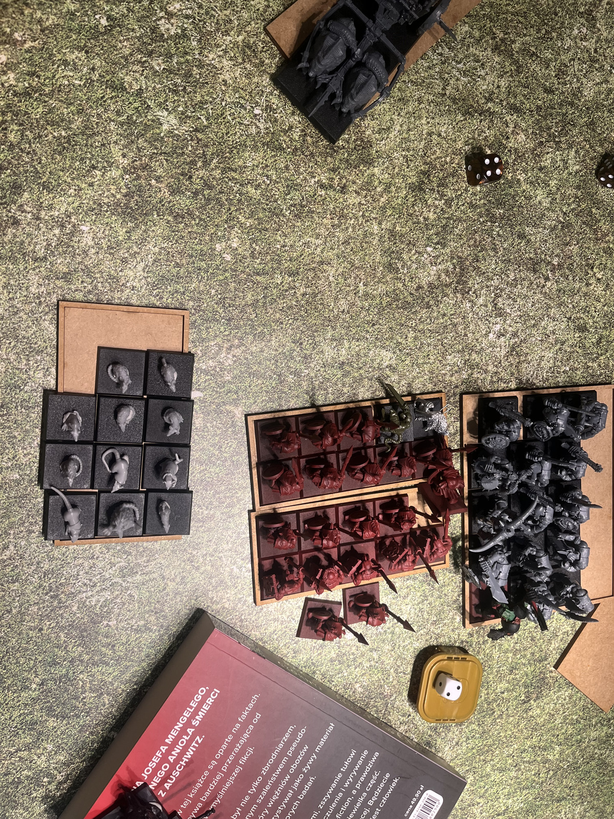 The battlefield after the Skaven collapse