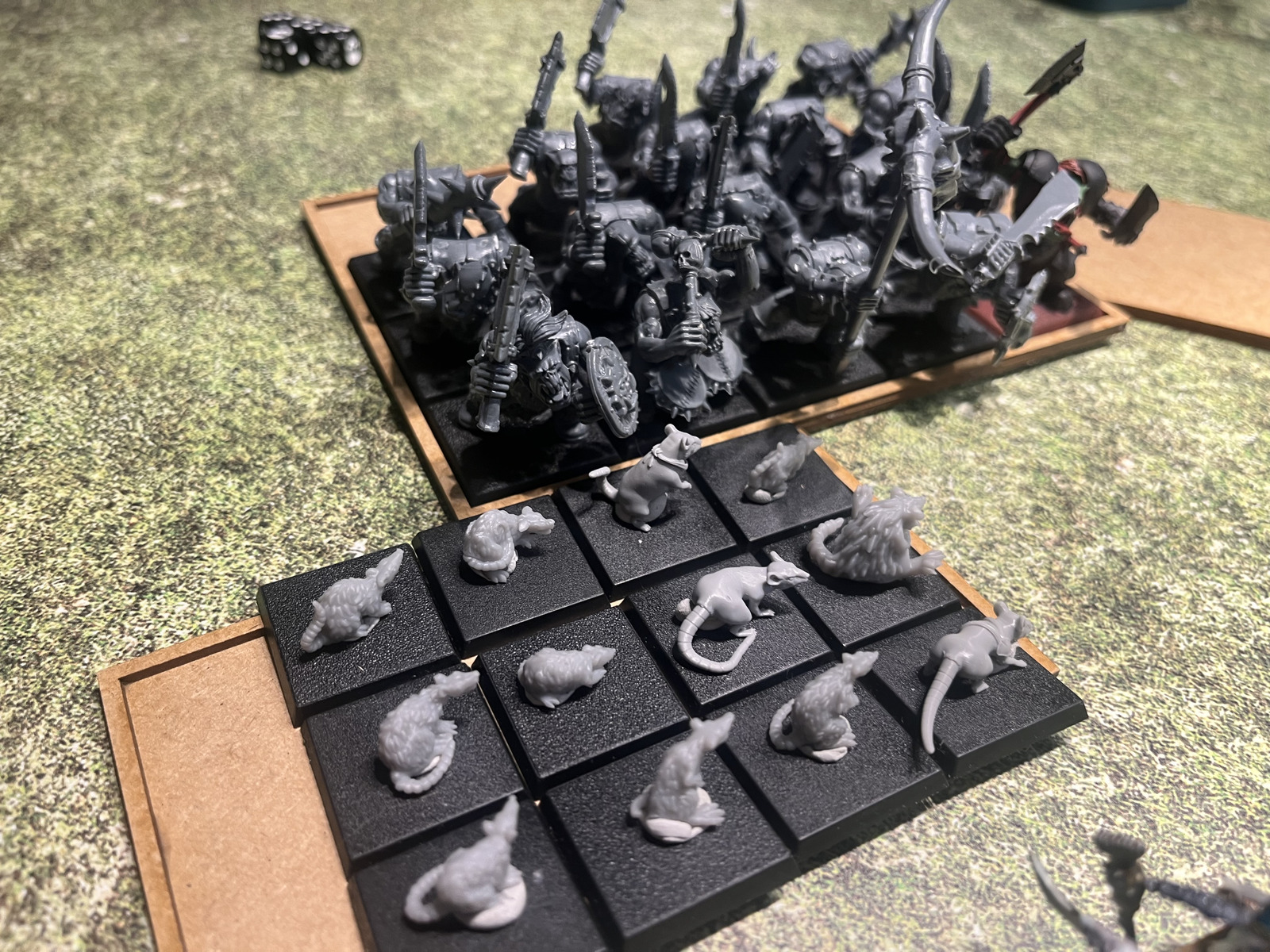 Giant Rats in trouble after losing combat