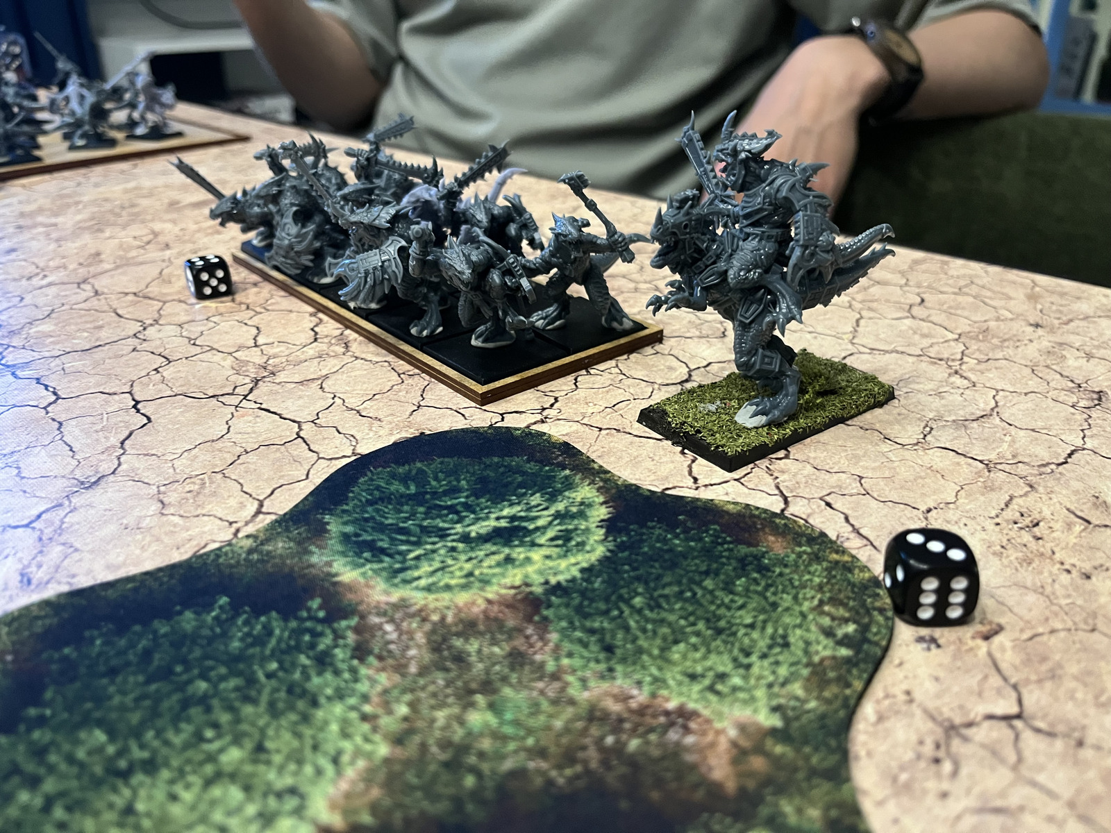 Lizardmen force ready for battle