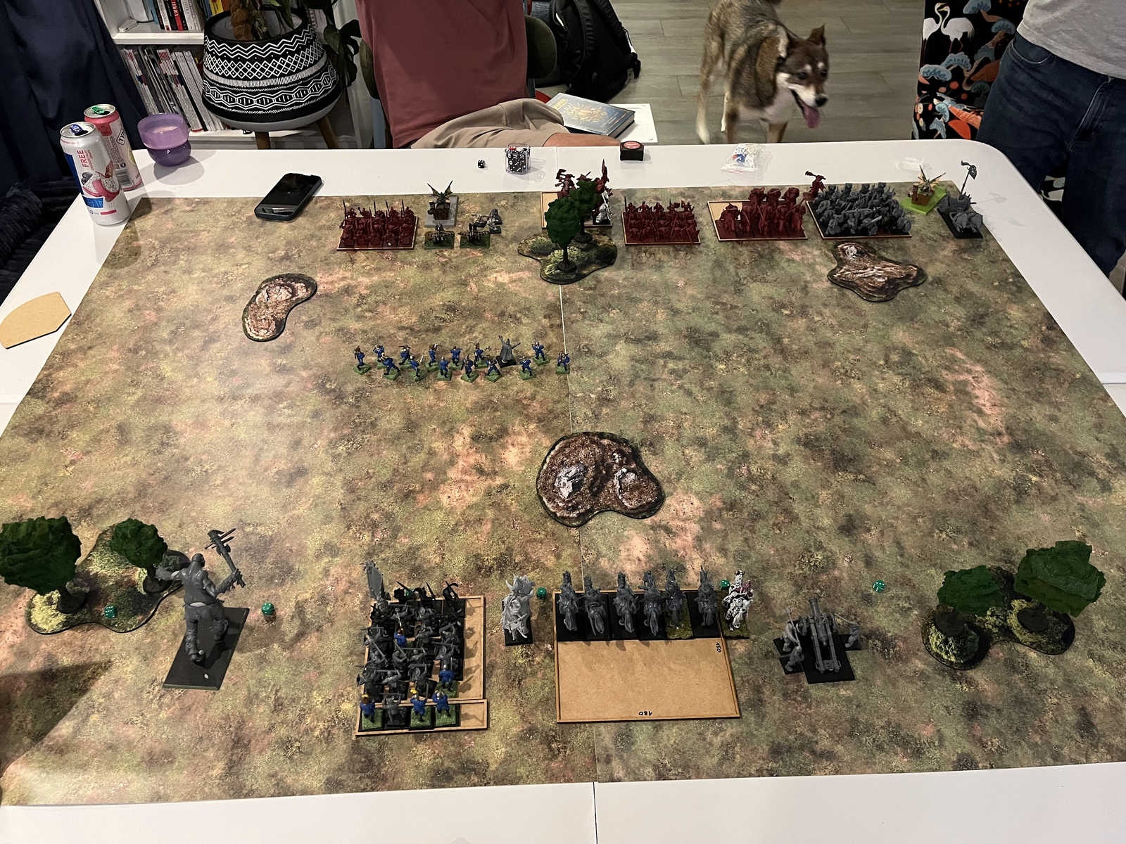 The battlefield and opposing forces